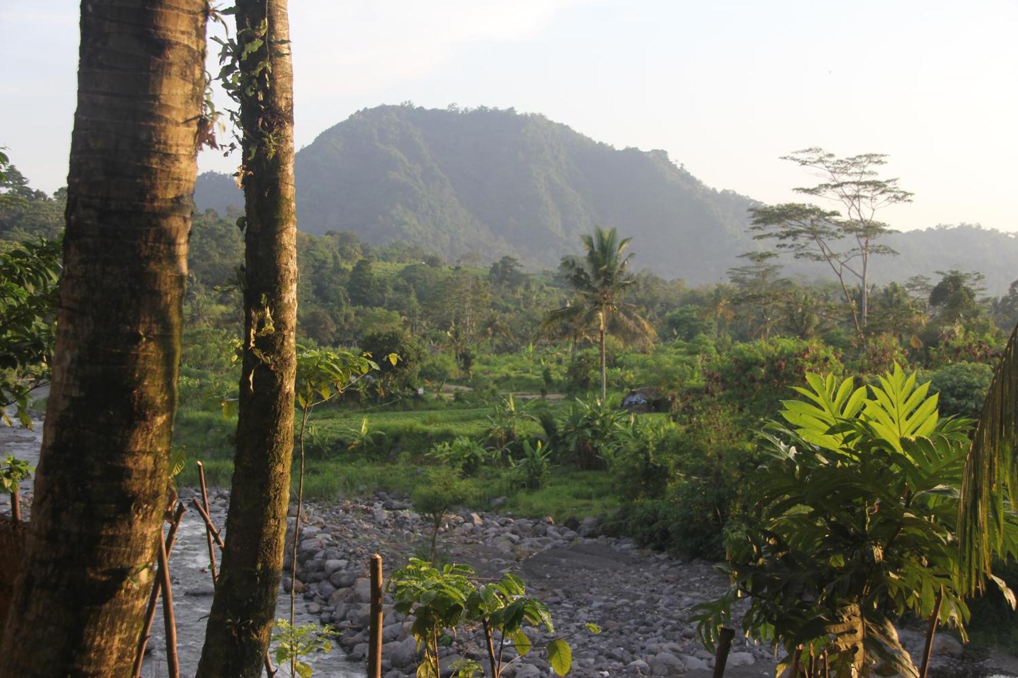 Anandinii River Lodge By Agata Sidemen  Kültér fotó